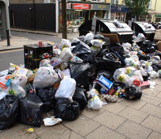 Brighton Council Could Scrap Controversial Litter Contract