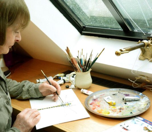 “Her passion is getting people to engage and notice.” Artist of the Week – Lynette Merrick