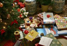 What’s on in Brighton: Boxing Day!