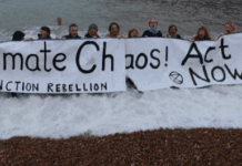 Brighton council urged to go carbon neutral by 2030