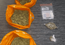Drugs worth thousands of pounds seized from raids in Brighton