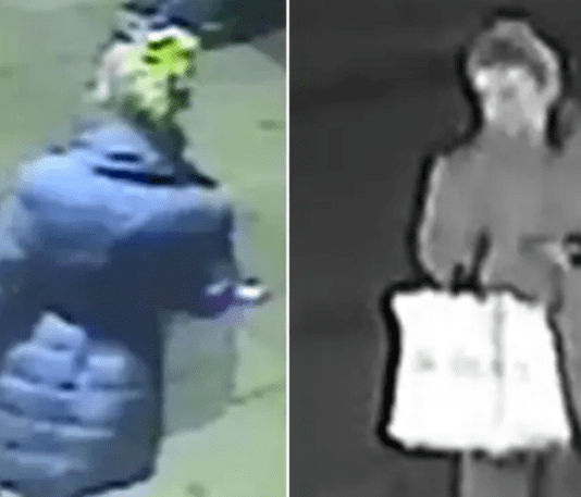 Witness appeal for violent Brighton attack on two men