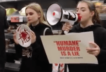 Vegans Protest Around Turkeys and are Branded ‘Mad Terrorists’