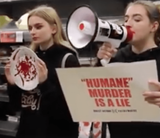 Vegans Protest Around Turkeys and are Branded ‘Mad Terrorists’