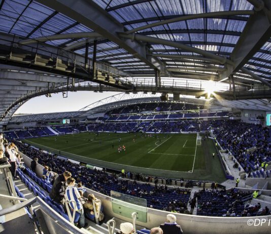 Ban and fine for Chelsea fan shouting homophobic abuse at Brighton’s Amex