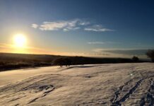 Snow arrives in Brighton