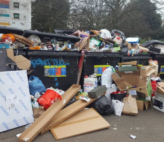 Greens say “time to bin Labour” after mounting waste collection worries