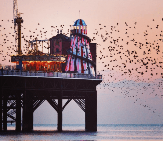 The Best of Brighton on Instagram: 13-19 February