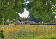 What is happening to Preston Park?