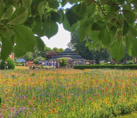 What is happening to Preston Park?