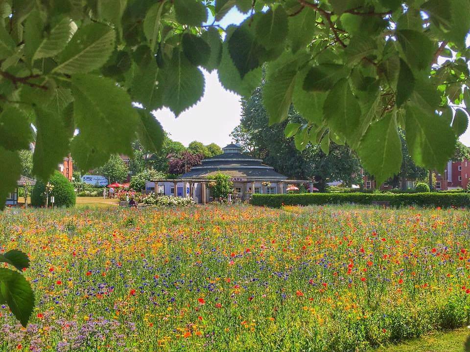preston park marie