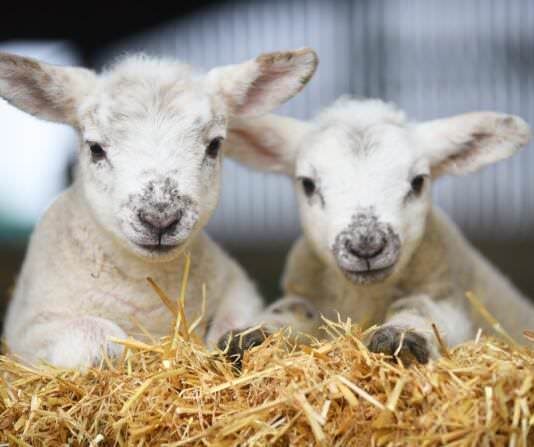 What’s on this weekend: Friday 26th – Sunday 28th of April