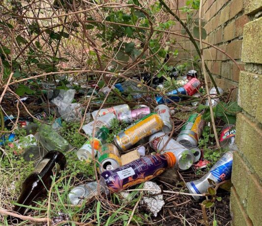 Picking up litter from Brighton to Land’s End