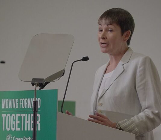 What would the Green Party do for Brighton and Hove?