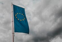How did Brighton vote in the European elections?