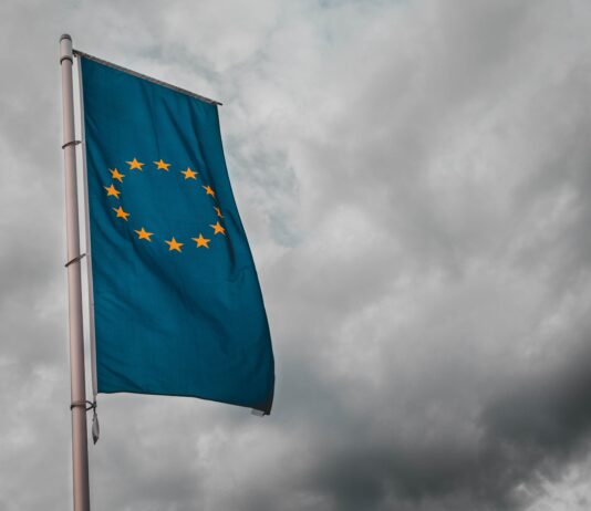 How did Brighton vote in the European elections?