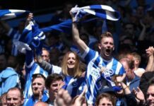 Brighton and Hove Albion roundup