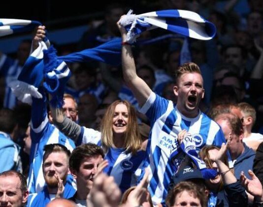 Brighton and Hove Albion roundup