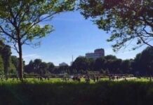 Dog walkers fear for safety at the Level