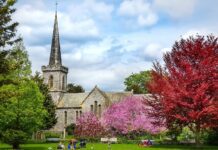 £5.1 million restoration project for Stanmer Park is underway