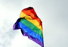 About the Older LGBTQ Project