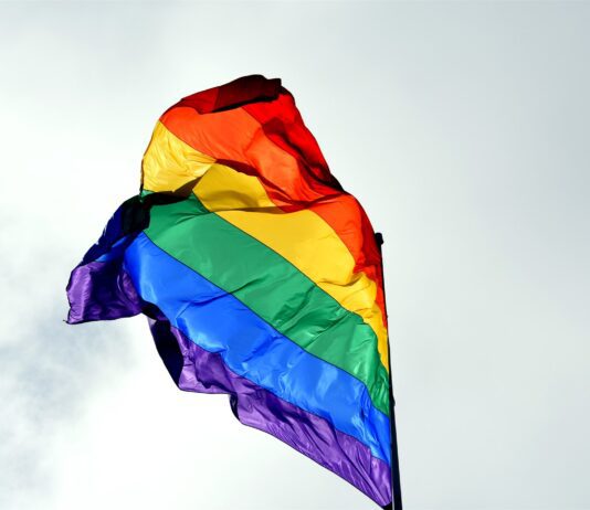 About the Older LGBTQ Project
