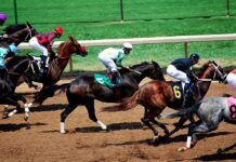 Who Dares Wins: Crazy Bets That Paid Out Big Time