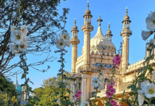 The best of Brighton on Instagram: 10-16 July