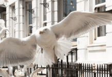 The best of Brighton on Instagram: 17-23 July