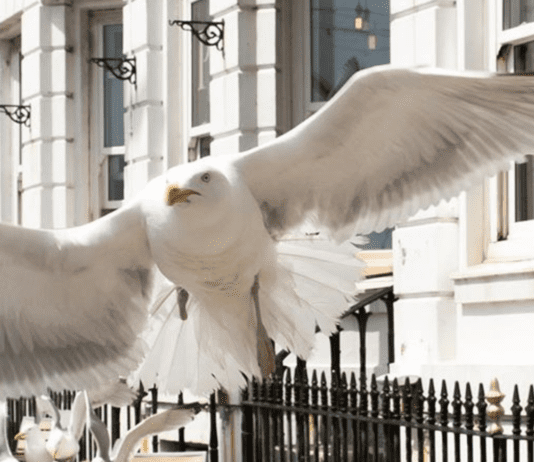 The best of Brighton on Instagram: 17-23 July
