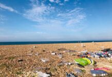 300 New Bins For Brighton Beach