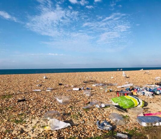300 New Bins For Brighton Beach