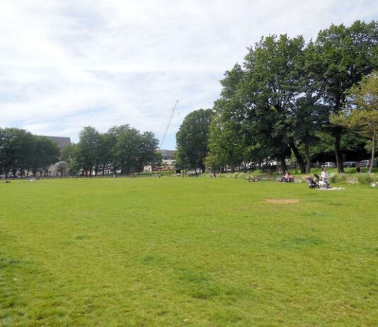 Tackling Anti-Social Behaviour in Brighton