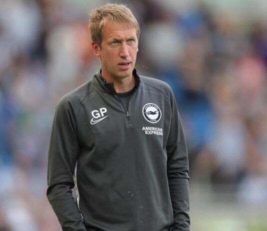 How has Potter settled into his role at Brighton?