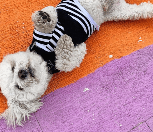 The best of Brighton on Instagram: 31 July – 06 August