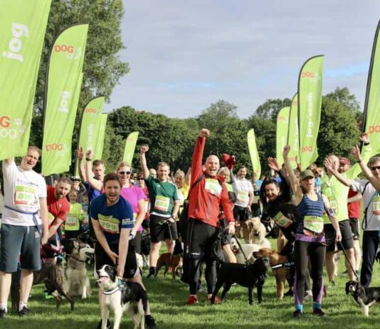 What’s on this Weekend: 16th – 18th August