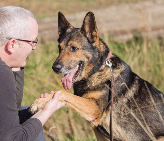 Heroic police dog celebrated by Sussex Police in Lewes