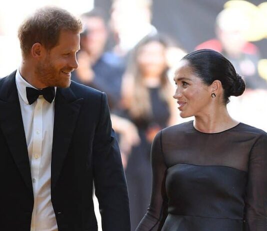 Duke and Duchess of Sussex criticised for their private jet holiday