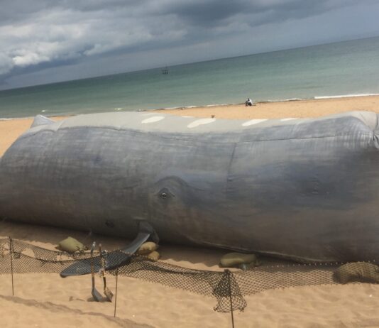 Inflatable whale installation comes to Brighton Marina