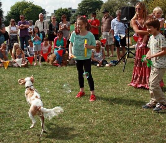 What’s on this weekend: 9th – 11th August