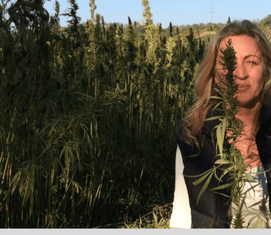 Do you have questions about CBD oil?