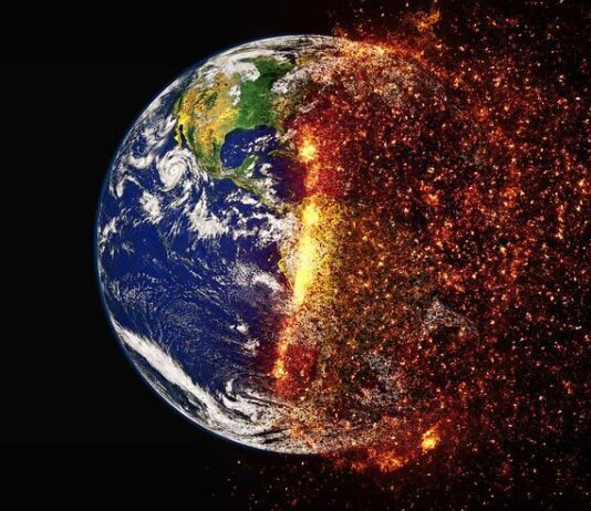 Greens push for a climate change teacher in every school