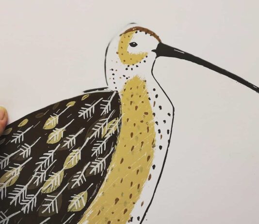 Artist of the Week: Liz Toole