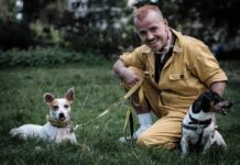 Fun Dog Event in Brighton: A Celebration of Furry Friends