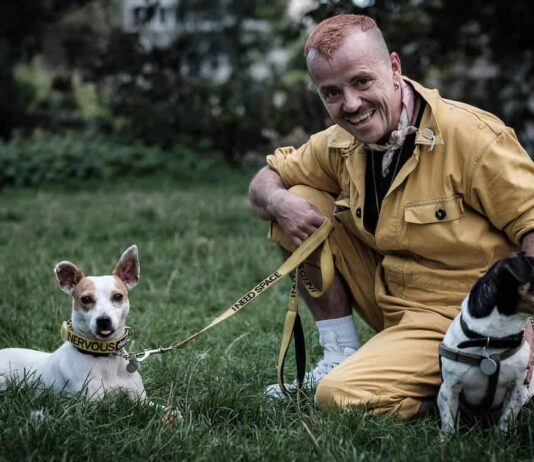Fun Dog Event in Brighton: A Celebration of Furry Friends