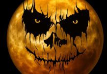 Brighton & Hove This Weekend: Comedy Festival Finale, The Biba Look and a Halloween Week to Remember