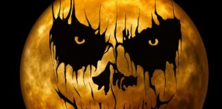 Brighton & Hove This Weekend: Comedy Festival Finale, The Biba Look and a Halloween Week to Remember