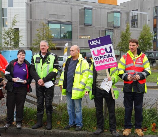Staff at Brighton and Sussex unis to strike