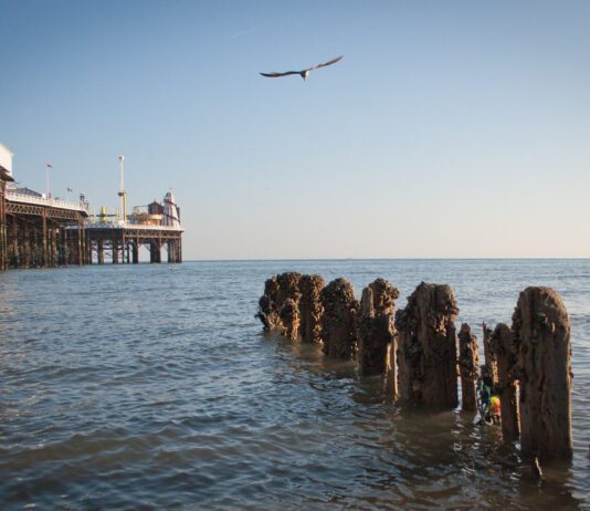 Brighton’s Sea Water is ‘Excellently’ Clean!