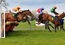 Brighton Trainer Gary Moore to Swerve Grand National Meeting with Editeur Du Gite